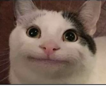beluga meme group