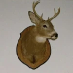 roblux yum Group Thumbnail