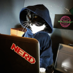 Hacker cats studios