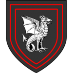 Wyvern Knights
