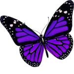 Roblox/Adoptme Bestie’s