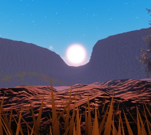 the good old forest. (NEW UPDATE)