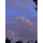 호오박 그룹