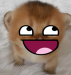 yappuccino