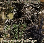 Polyester Foliage Group Thumbnail