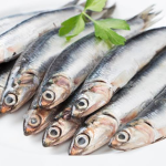 ANCHOVlES