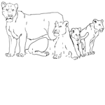 Qorpiid lions