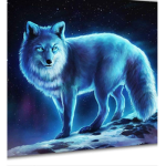 Night_Fox