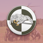 1st Polish Air Cavalry Battalion