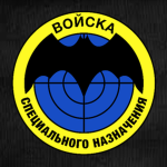 • The Spetsnaz •