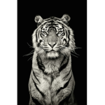 PRIME_YUS group
