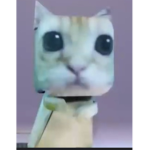Cat squad banana