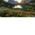 nature Roblox :D