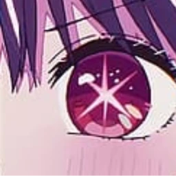 ✩°｡⋆ icon