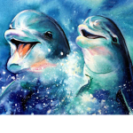 The Dolphin Pod