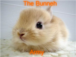 The Bunneh Army