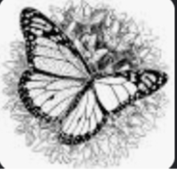 The butterfly Game