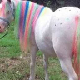 Unicorn theme Park! icon