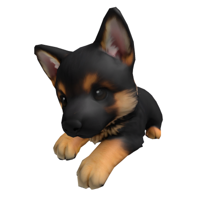 German Shepard Dog Right Shoulder thumbnail