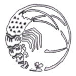 Kishimōto