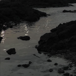 TheQuietThings