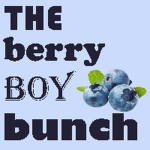 THE BERRY BOY BUNCH