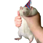 little rat peoples