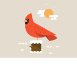 Ccardinals