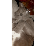 I miss u smokey