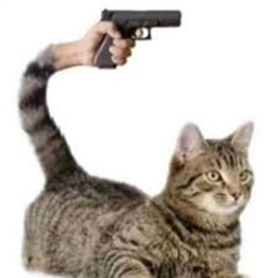 Cats Training area to hunt rats