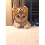 SimplyZizzy