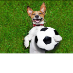 Almighty football stars