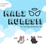 Mali rules!!