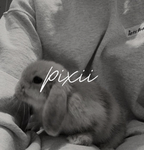 *-pixiis-*