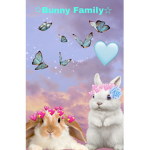 *Bunny Family*