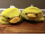 #TEH EPIK DUCK SQUAD