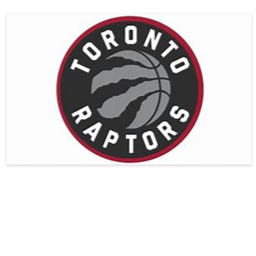 Raptors game simulater