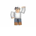 Perfect_roblox
