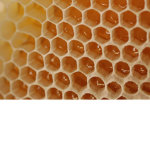awesome beehive