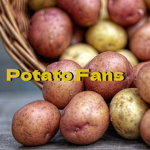 Digging Potatoes