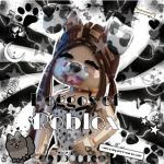 Doggos Of Roblox!