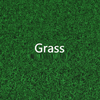Grass