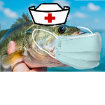 The Dr.fishy
