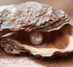 Pearls TV! : :