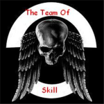 The Team Of Skill