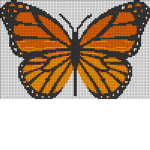 Bridgelove