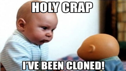 Baby meme Roblox decal