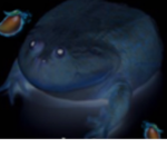 Kingdom of The Frogs