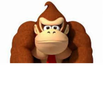 donkeykong!