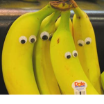 You like banana? We have banana!